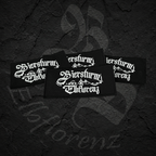 Aufnäher "Biersturm Elbflorenz"